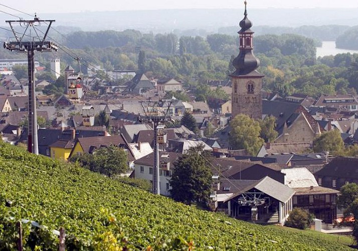 Tour de Francfort en bus et excursion dans la vallée du Rhin