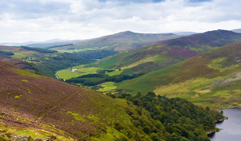Ausflug in die Grafschaft von Wicklow mit dem Zug - Abfahrt von Dublin