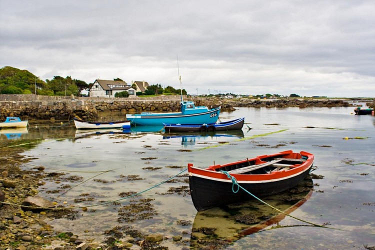 Eintägiger Ausflug zur Bucht von Galway in der Region Connemara - Abfahrt von Dublin