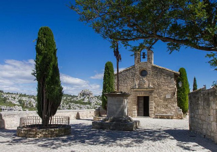 Dégustation et tour panoramique en Provence : Avignon, les Baux de Provence et Châteauneuf du Pape depuis Marseille