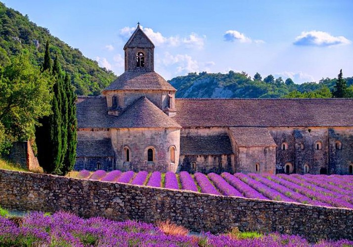Trip to Luberon: Discover the Markets and the Lavender Fields