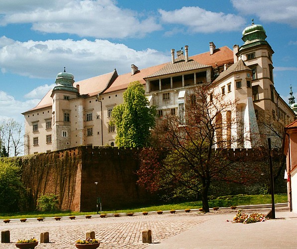 Visite guidée de la vieille ville (4h) - Cracovie