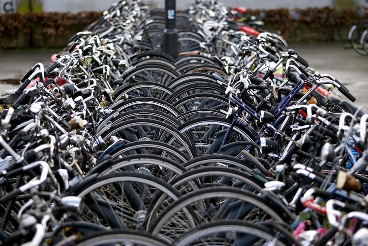 Location de vélos à Annecy - 24h