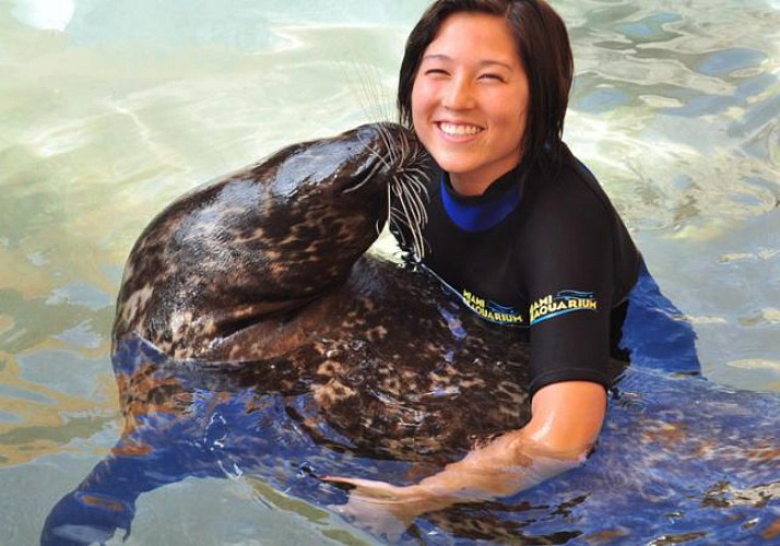 Swimming with Seals + Admission to the Miami Seaquarium