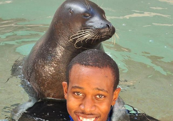 Swimming with Seals + Admission to the Miami Seaquarium