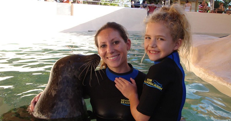 Nado con focas + entrada al Miami Seaquarium