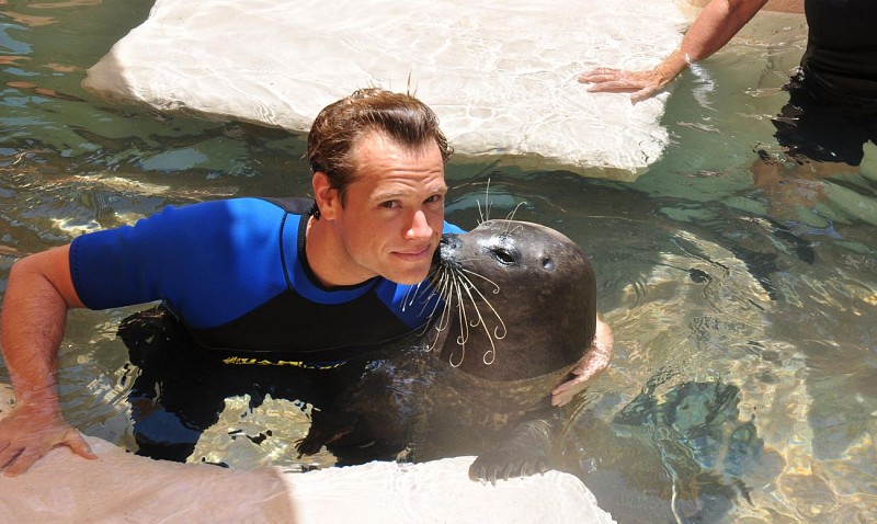 Nado con focas + entrada al Miami Seaquarium