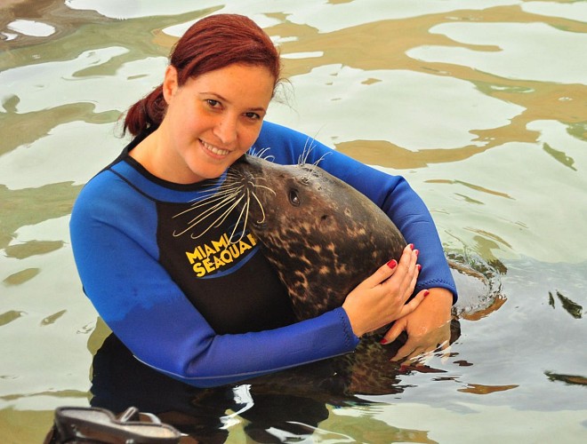 Nage avec les phoques + billet d'entrée au Miami Seaquarium