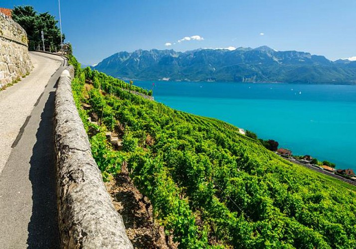 Sightseeing Cruise On Lake Geneva and Discover The Lavaux Vineyards – Departing From Lausanne