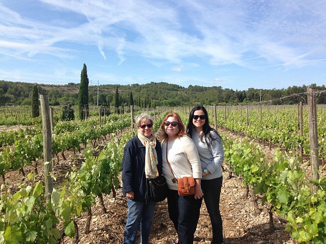 Half day around vineyards and olive groves in Languedoc: visits and tastings