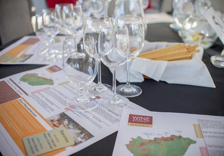 Wine Tasting Cruise on the Danube – Optional hotel pick-up/drop-off