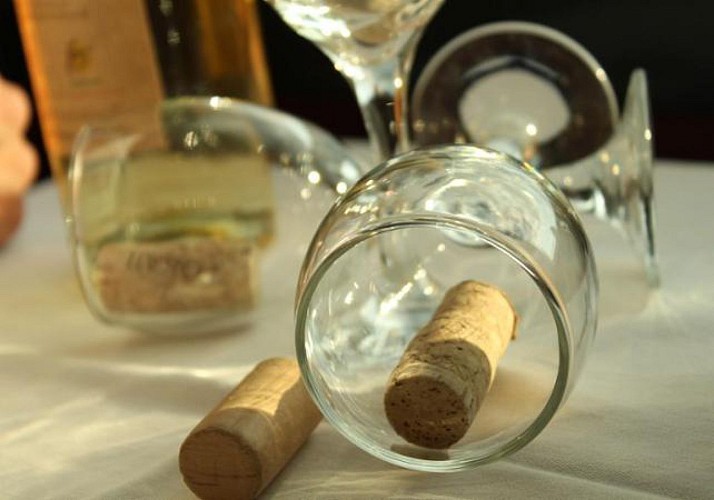 Croisière sur le Danube : Dégustation de vin & Concert - Transferts en option - Budapest