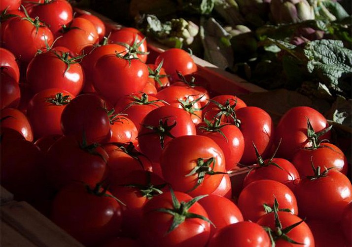 Discover a Provencal Market & Introduction to Fréjus’s Local Food