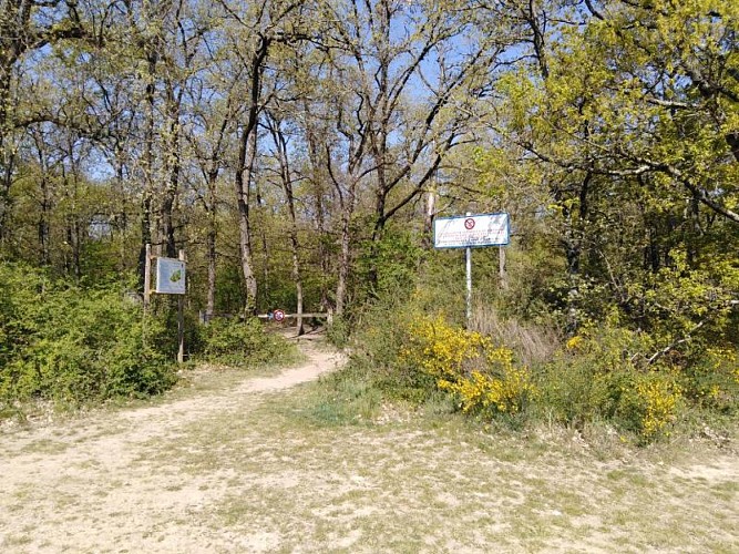 2021_Lherm_Bois des Escoumes_COentrée