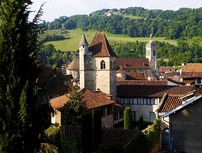 Tour du Viguier