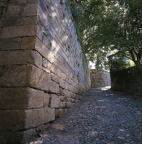 Vestiges de la citadelle protestante