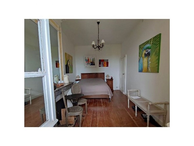 Aux origines du vignoble bordelais