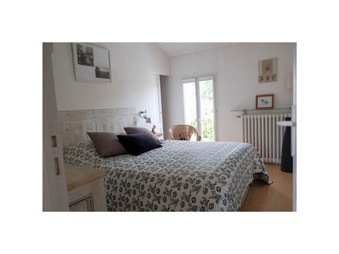 Aux origines du vignoble bordelais