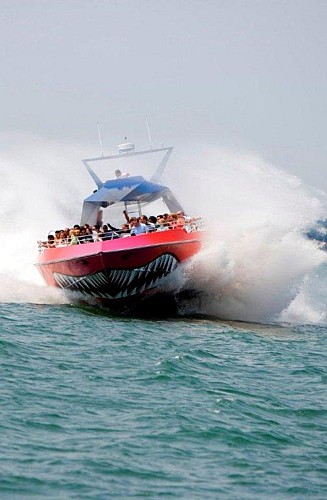 Croisière extrême à bord du Speed Boat géant « Codzilla » - Boston