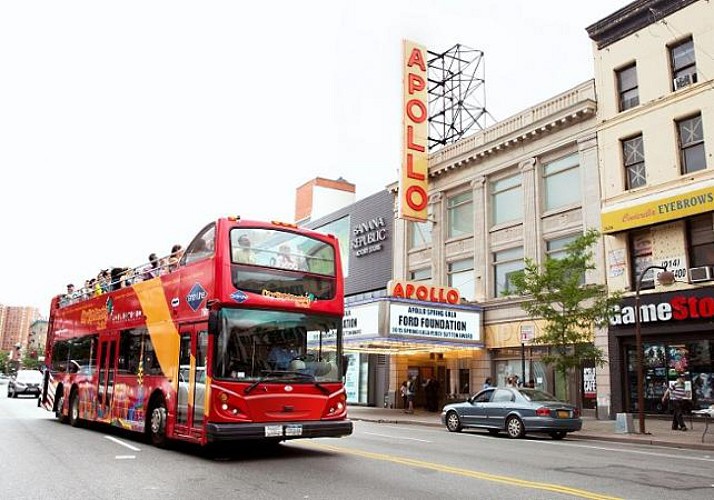Freestyle Pass New York: Pass 72 ore mezzi di trasporto e attrazioni