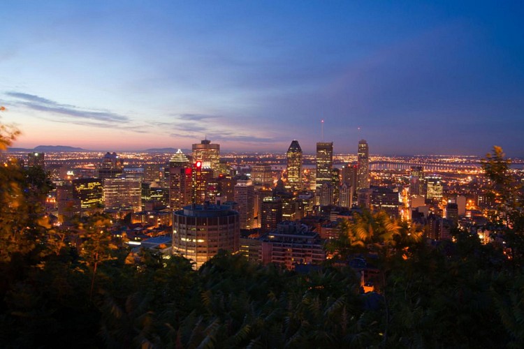 Double Decker Bus Tour of Montreal by Night