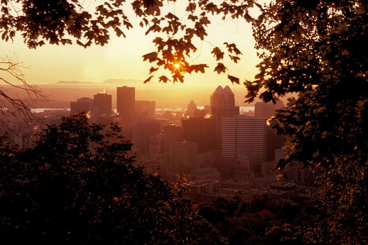 Tour de Montréal en bus à impériale de nuit