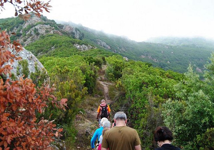 Hiking in Monte Aragnascu – Leaving from Ajaccio