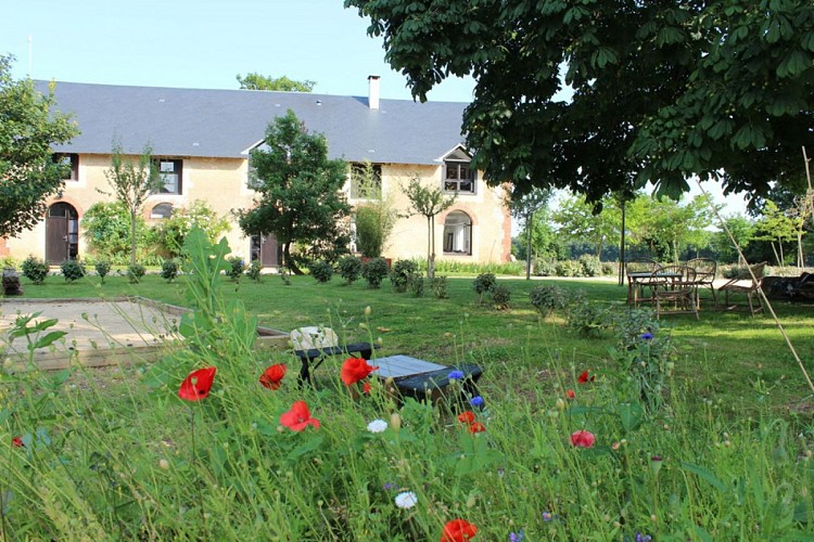 Les Noyers à Angles sur l'Anglin 1