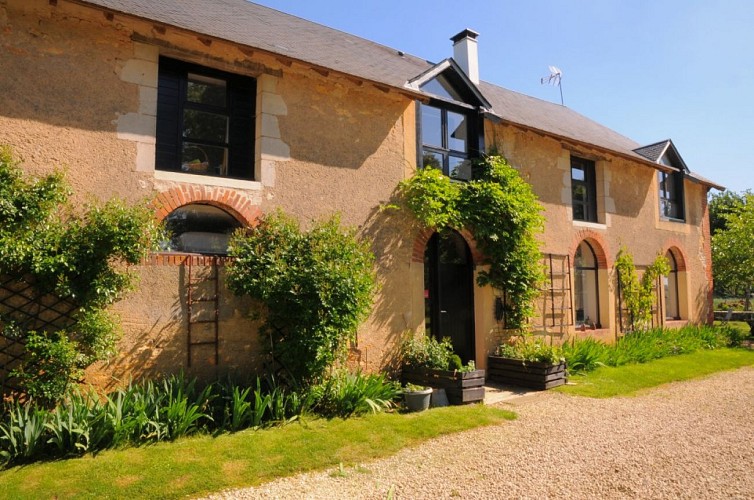 Les Noyers à Angles sur l'Anglin 2