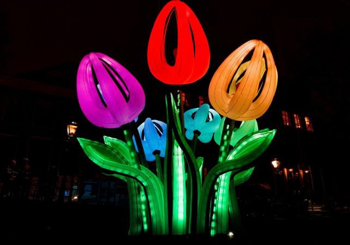 Amsterdam Festival of Lights Seen from the Canals