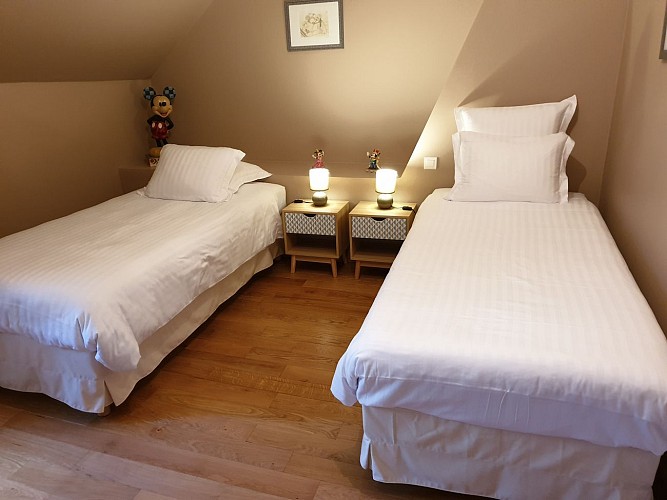 Chambre lits jumeaux 'Mickey &amp; Minnie'_7