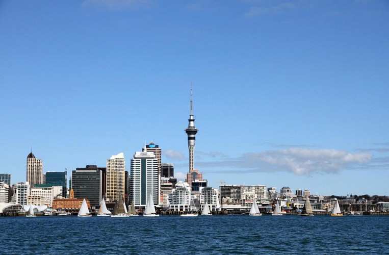 See Auckland in a day: guided tour, harbour cruise and access to the top of the Sky Tower