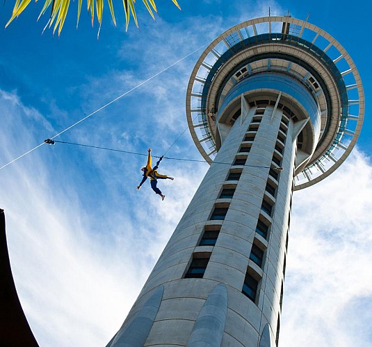 Auckland Sky Tower and guided tour of the city