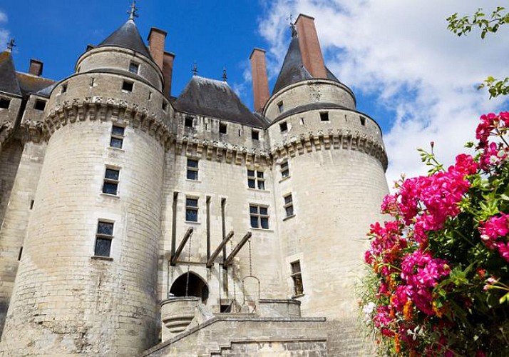 Excursion en minibus aux Châteaux de Langeais, Ussé, Azay-le-Rideau et Villandry - Au départ de Tours