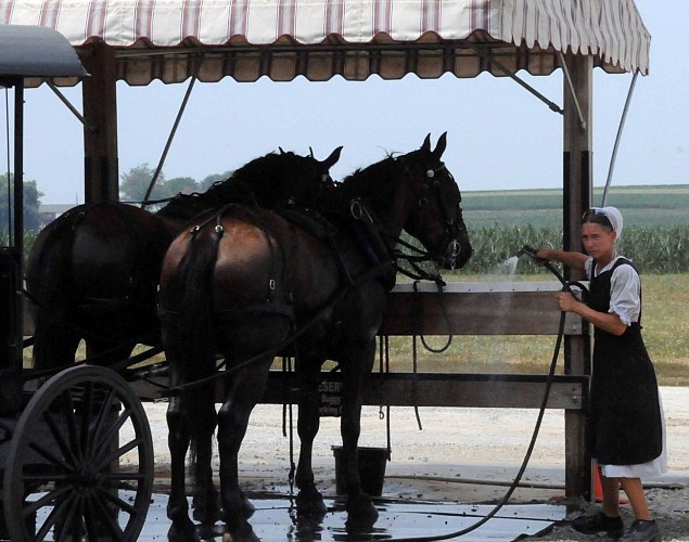 Tagesausflug nach Philadelphia und Entdeckung des Amish Territory