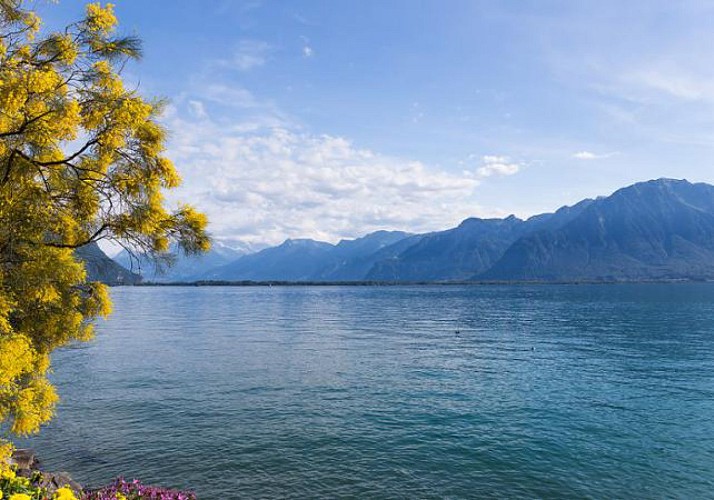 Croisière sur le Lac Léman et billet pour le Musée Chaplin - départ de Vevey