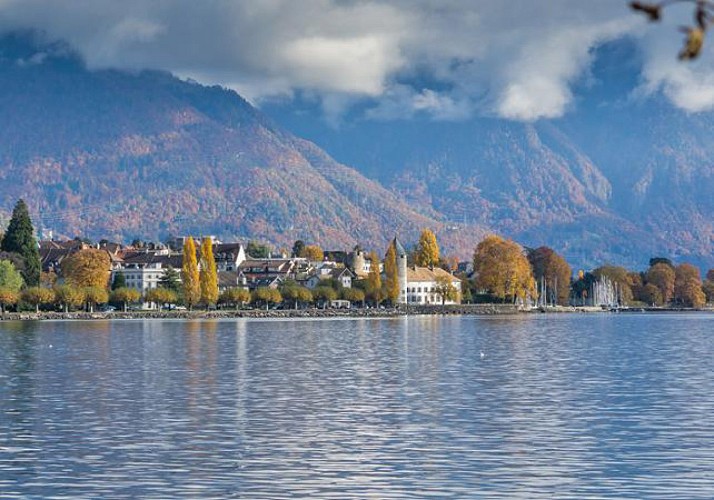 Croisière sur le Lac Léman et billet pour le Musée Chaplin - départ de Vevey