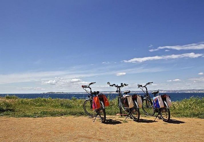 Coastal Tour by Electric Bike