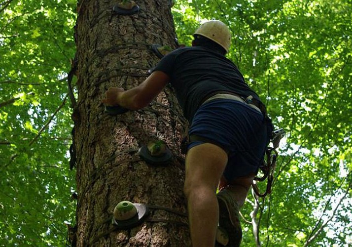 Tree-Climbing Adventure Park in Vizzavona Forest - 1 hour from Ajaccio