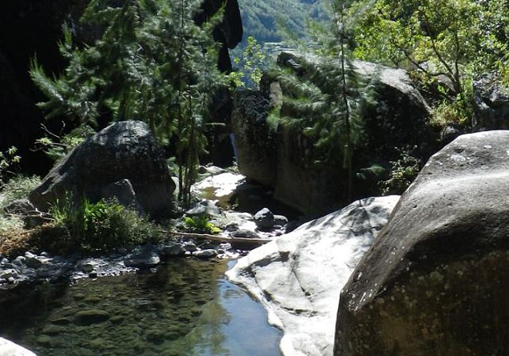Descente du canyon "Fleur Jaune" dans le Cirque de Cilaos à La Réunion