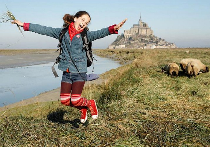 3-Day Tour of the Normandy Landing Beaches, St Malo, Mont Saint-Michel & The Loire Chateaux