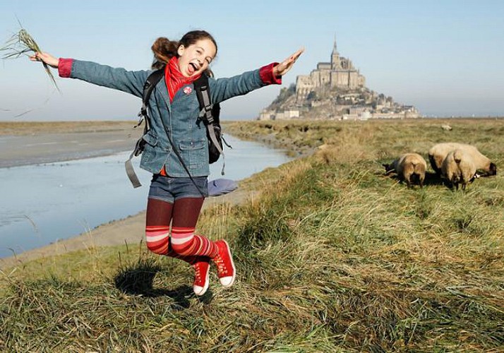 Mont Saint-Michel, Tours e i Castelli della Loira in tre giorni