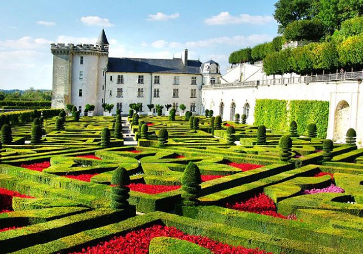 Visite des Châteaux de la Loire en deux jours