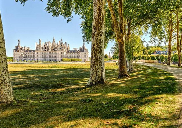 Visite des Châteaux de la Loire en deux jours