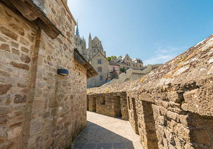 Visita guidata di Mont Saint-Michel - Partenza da Parigi