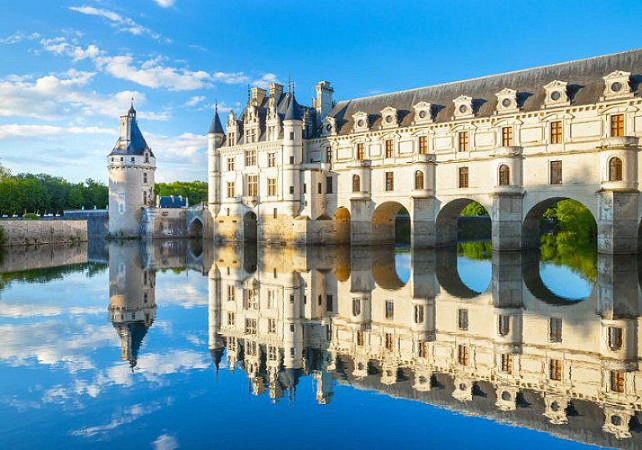 Besuch der Schlösser der Loire: Chambord, Chenonceau ... - „ohne Anstehen"