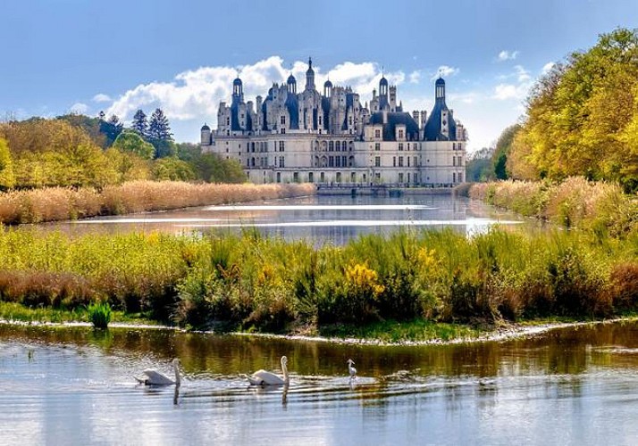 Visite des Châteaux de la Loire: Chambord, Chenonceau... - Coupe file