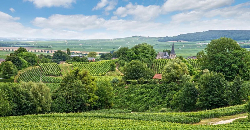 Ausflug nach Reims  in der Champagne