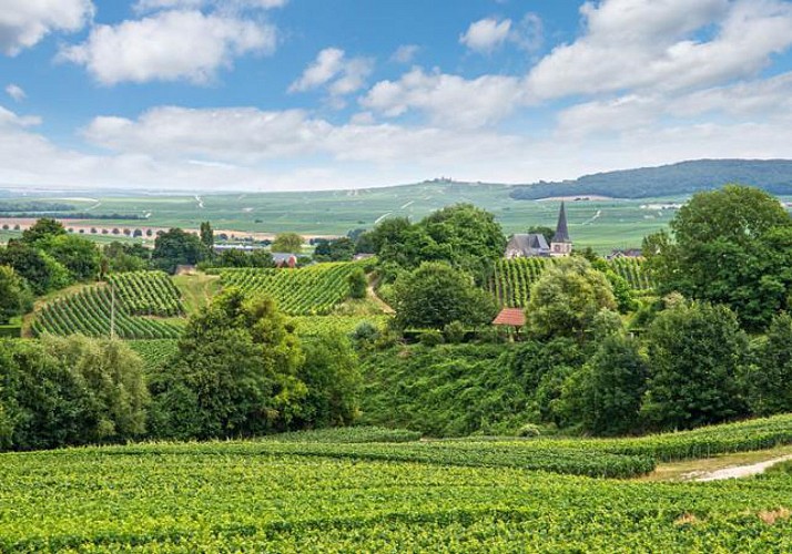 Excursion to Reims in the Champagne Region