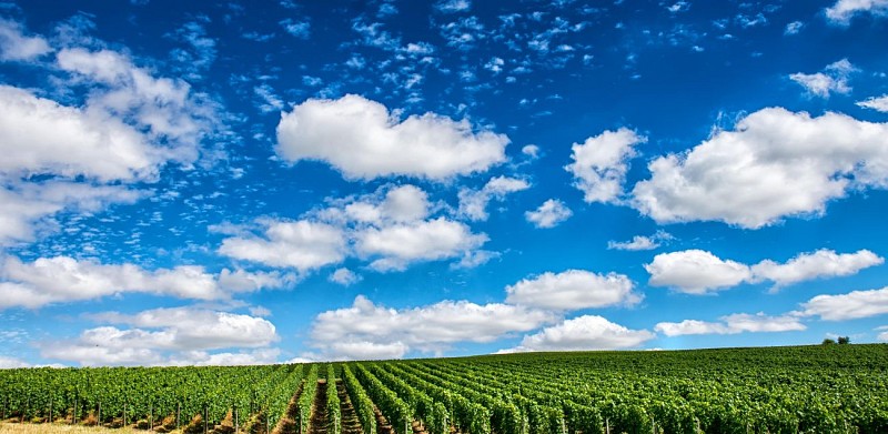 Excursión a Reims, región de Champagne